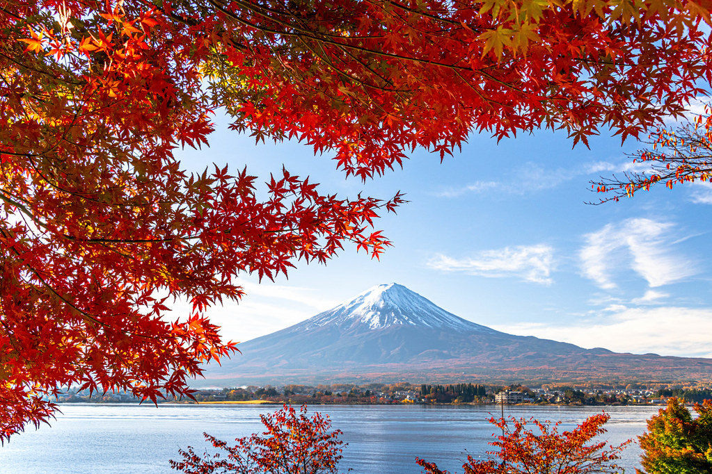Must-See Events in Japan November: Plan Your Trip Now!
