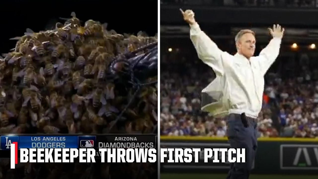 Beekeeper First Pitch: Watch the Video & Get the Full Story!