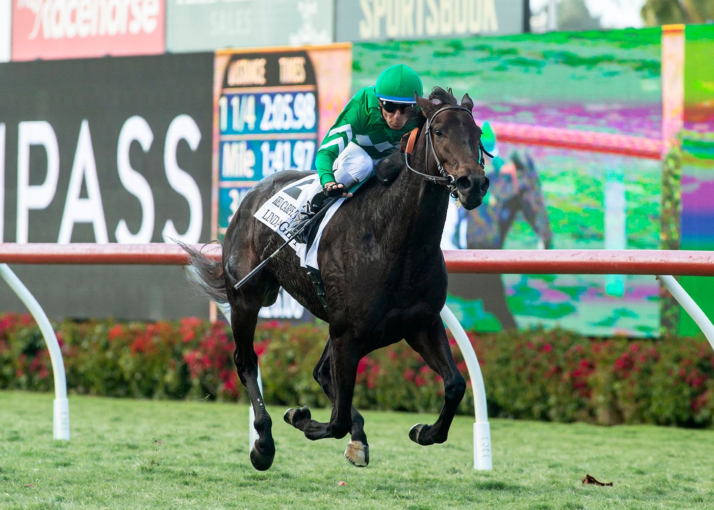 Best Del Mar Race Predictions: Top Strategies for Horse Racing Success.