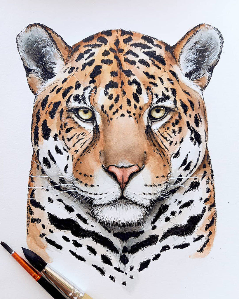 Need Jaguar Drawings? Check Out These Awesome Examples and Tips!
