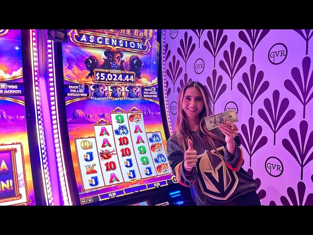 Need Help Winning? Get real Buffalo stampede slot machine tips and hints here.
