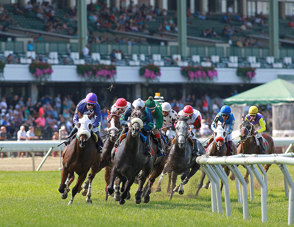 Checking Monmouth Track Results? Find All the Race Day Info You Need!