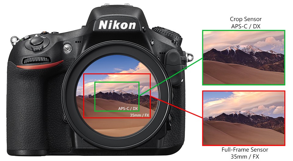 Choosing a Camera: Should You Pick Full Frame or Half Frame?