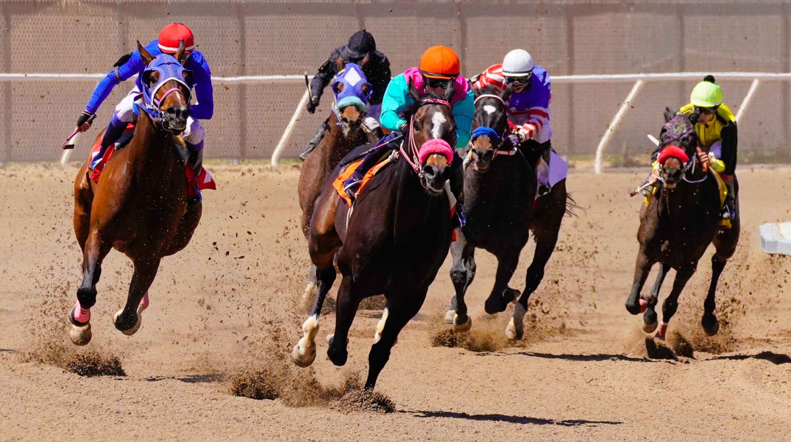 Finger Lakes Top Jockeys: See Whos Winning Big! (Easy Guide for Horse Racing Fans!)