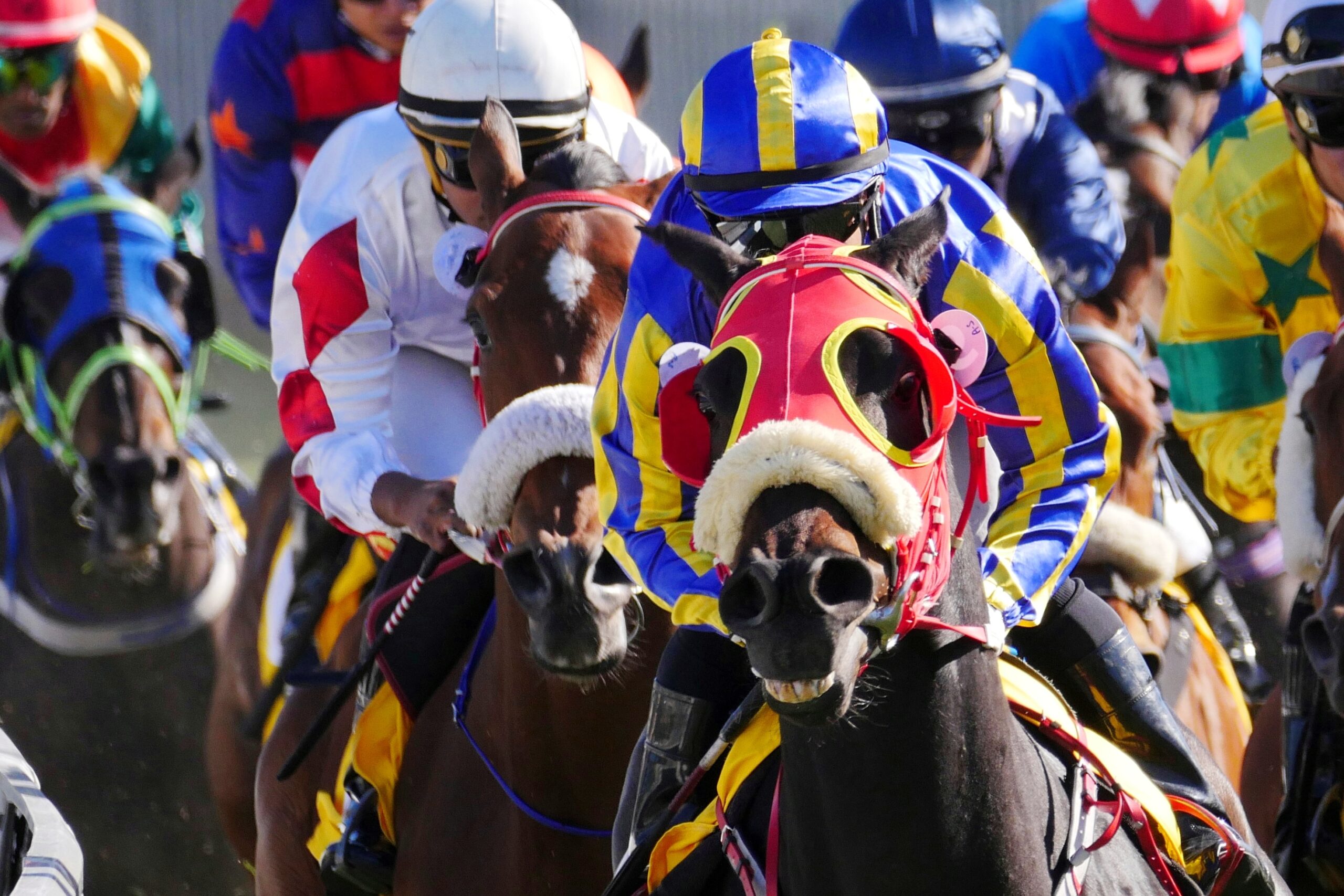 Finger Lakes Top Jockeys: See Whos Winning Big! (Easy Guide for Horse Racing Fans!)