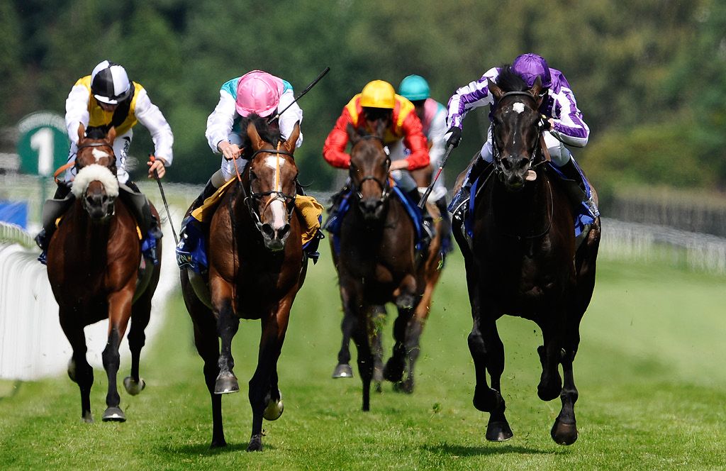 Horse Race Slang: Learn the Lingo of the Track!