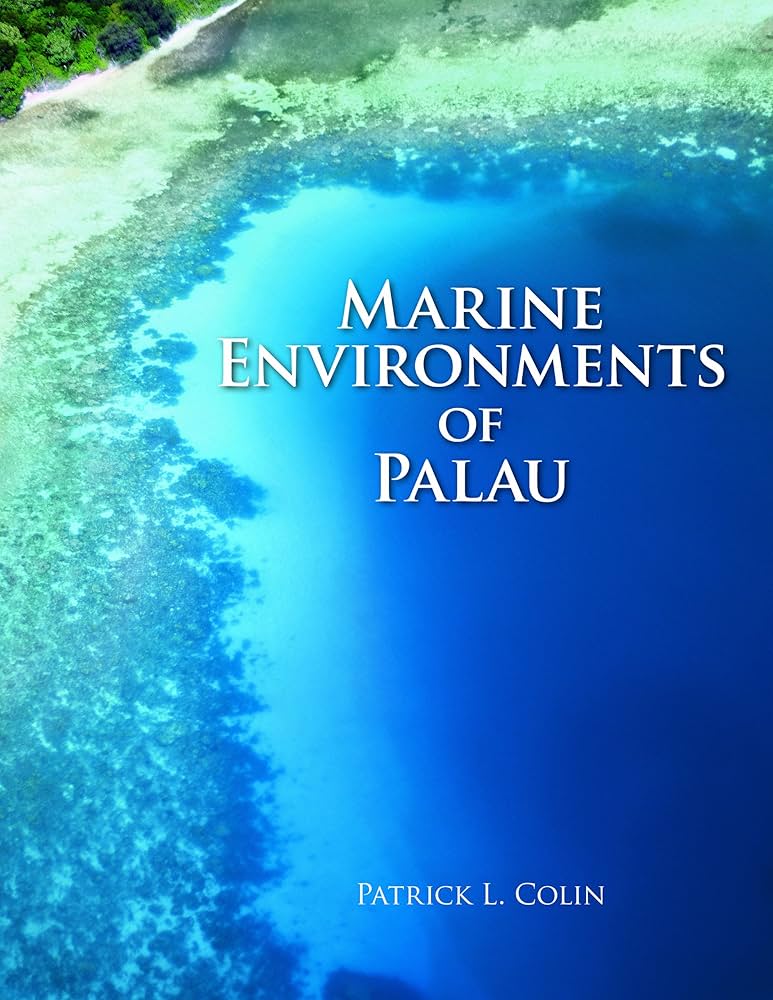Learn About ignacio palau,The complete introduction.