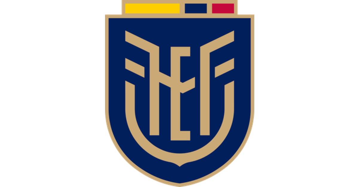 Italy vs Ecuador 2024 Tickets Resale Market: Prices and Availability.