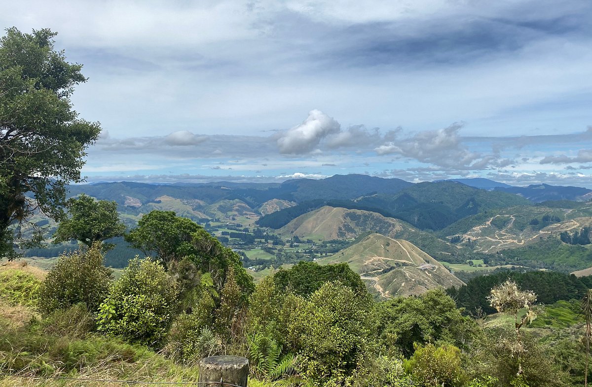 Need Help with Matenga? Find Quick Solutions Here Now!