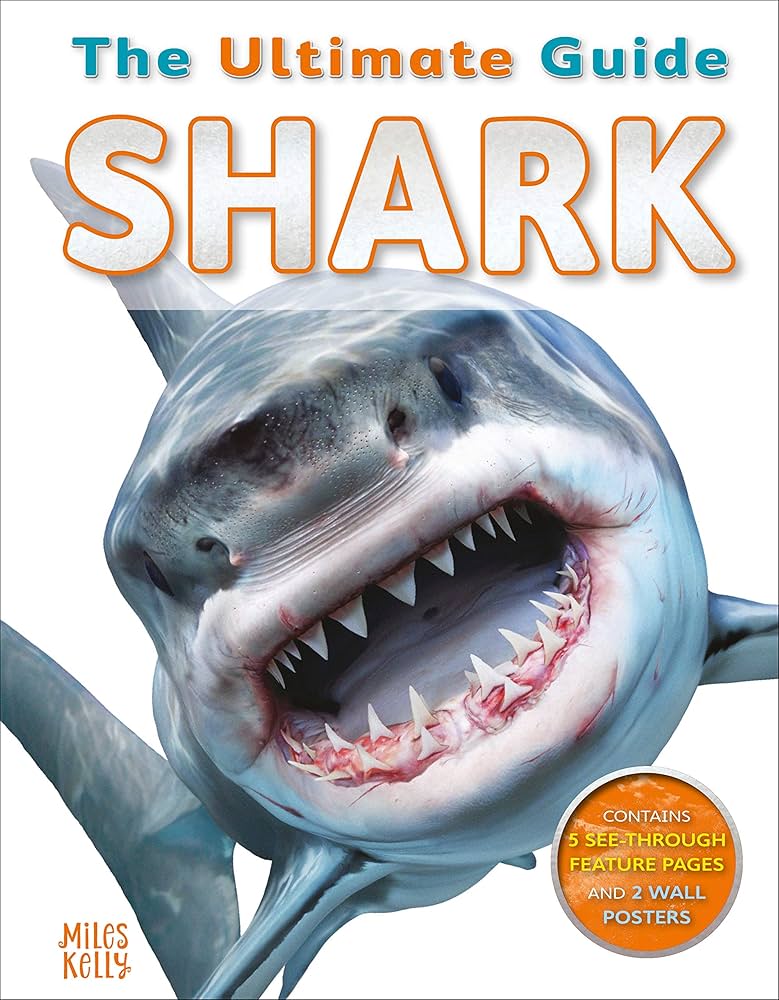 Discover Emerald Isle Sharks: Your Ultimate Guide!
