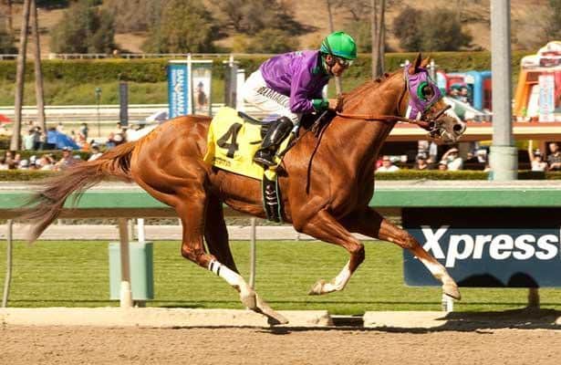 Full 2014 Kentucky Derby Results: Every Horses Finishing Place.