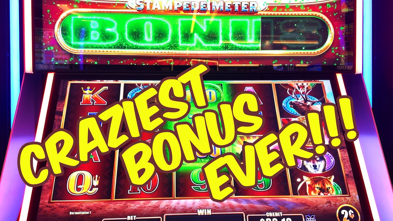 Need Help Winning? Get real Buffalo stampede slot machine tips and hints here.