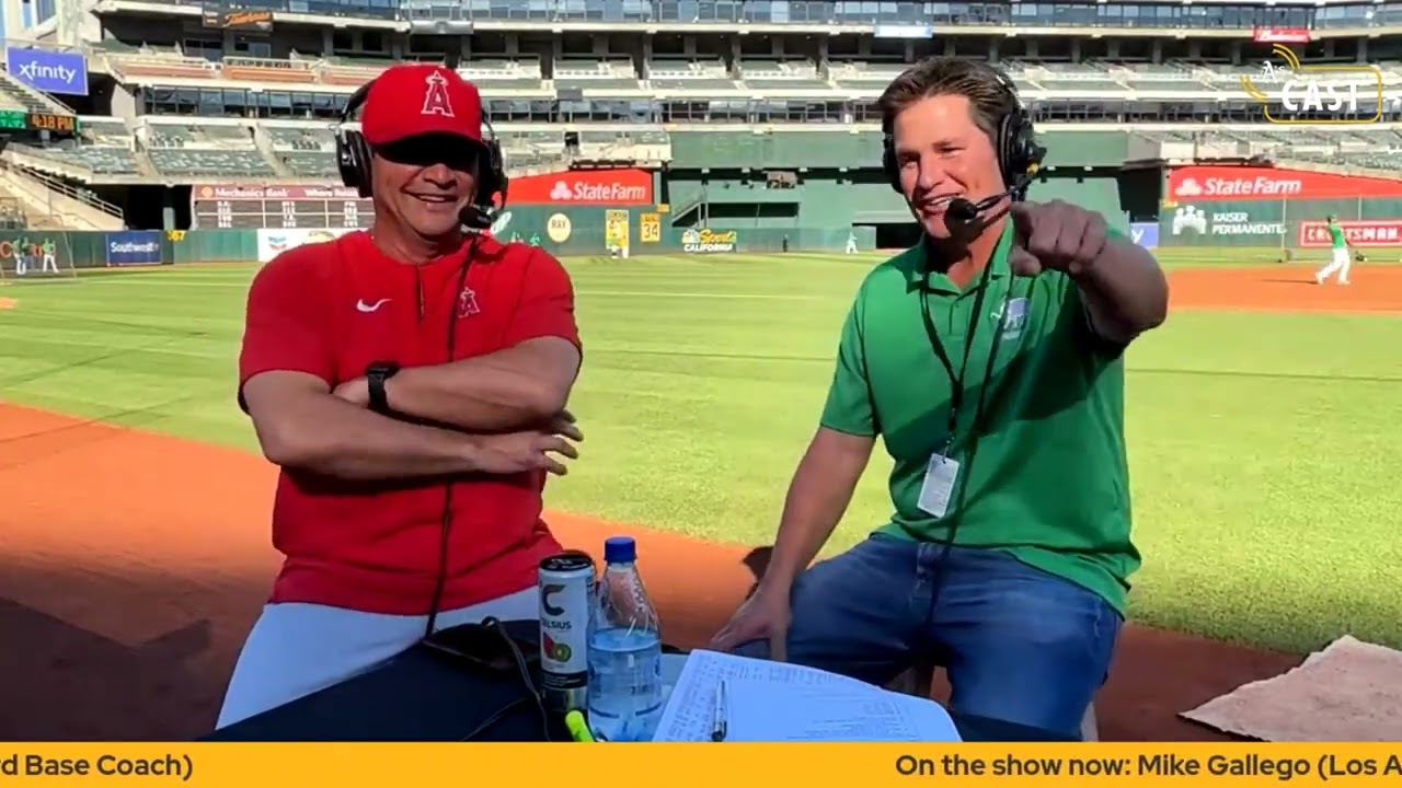 Learn All About Mike Gallegos: The Easy Guide for the fans.