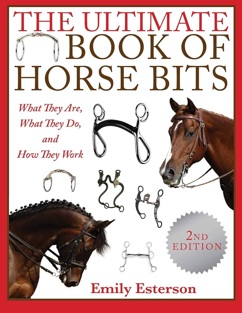 The Best of Colin Stallion: Everything Explained!
