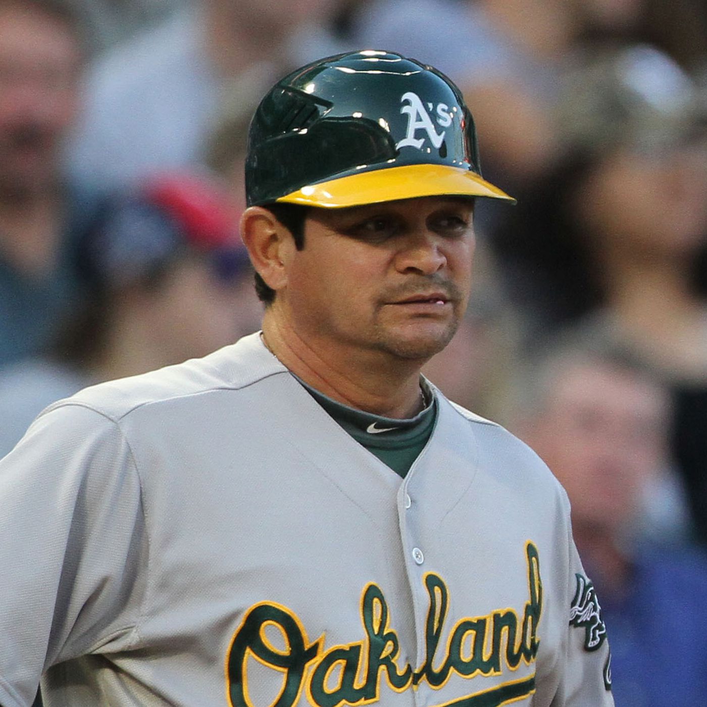 Learn All About Mike Gallegos: The Easy Guide for the fans.