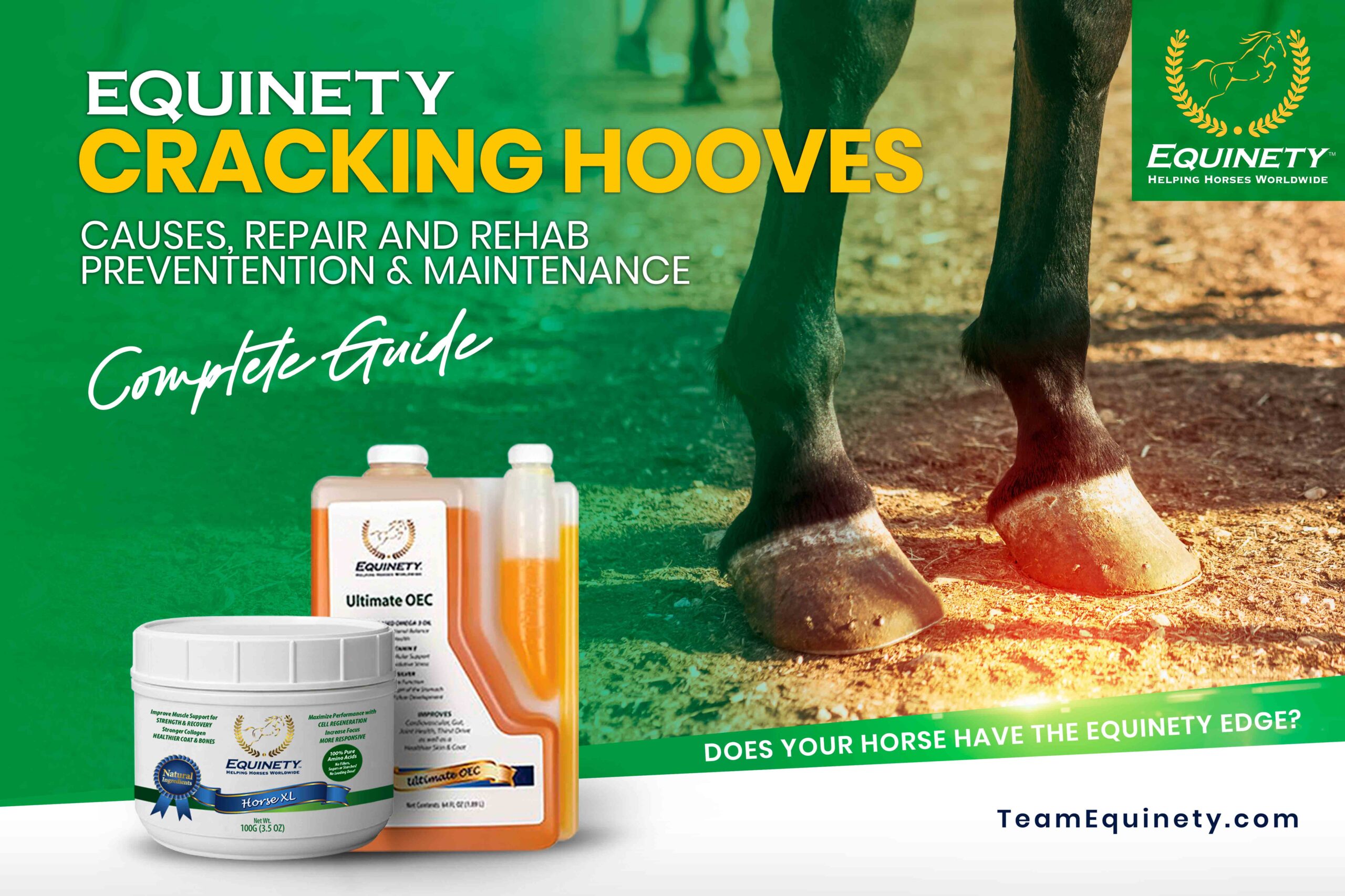 Cracked Horse Hoof Treatment: Easy Guide for Horse Owners.