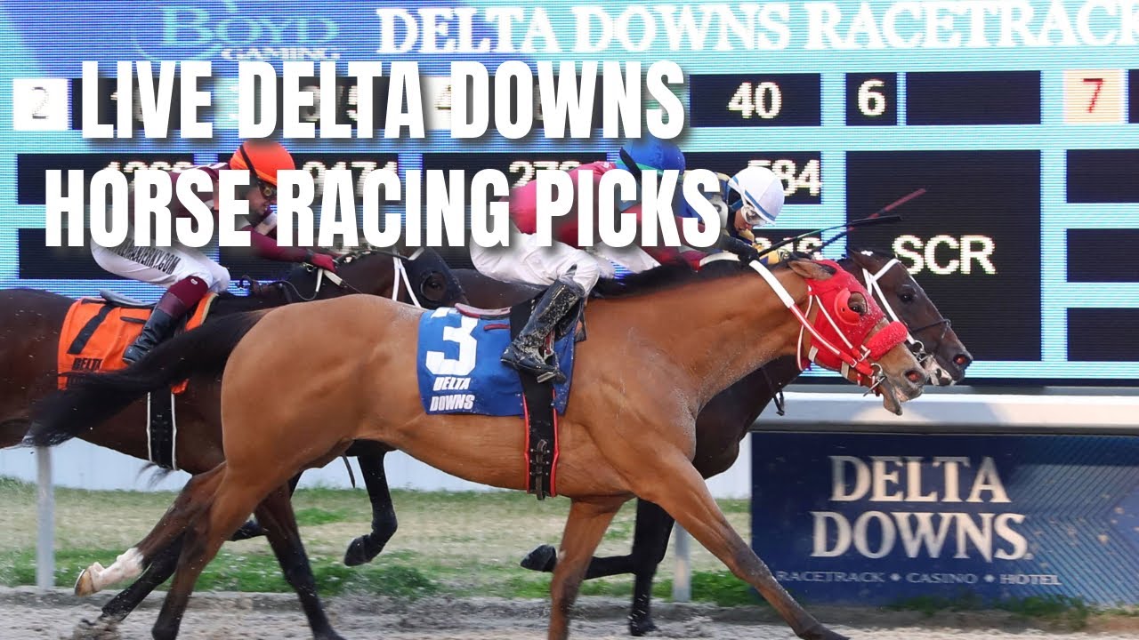 Want to understand Delta Downs live racing results better? This beginners guide explains everything clearly!