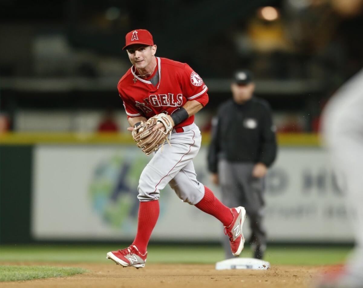 GIAVOTELLA ANGELS: Are they worth your time?