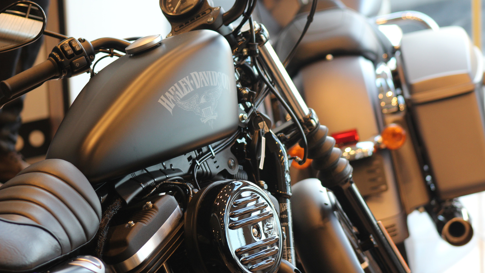 Is the Harley 883 Custom good for new riders? What beginners should understand.