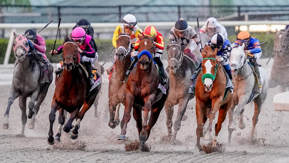 Looking for information about Pegasus Stakes 2024 tickets? Learn how to attend the big race day event this year.
