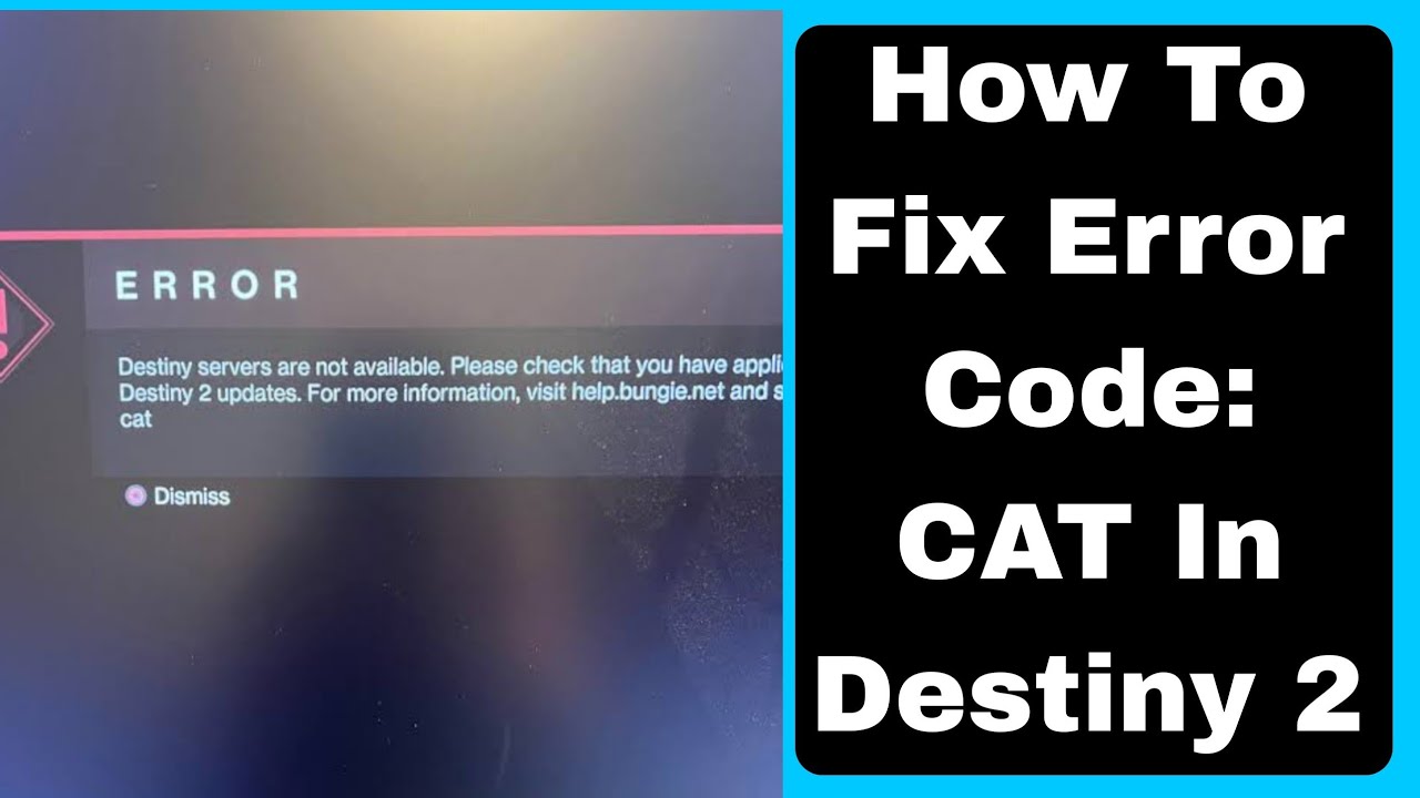 Destiny 2 Error Code Cat Troubleshoot: Easy Solutions Inside