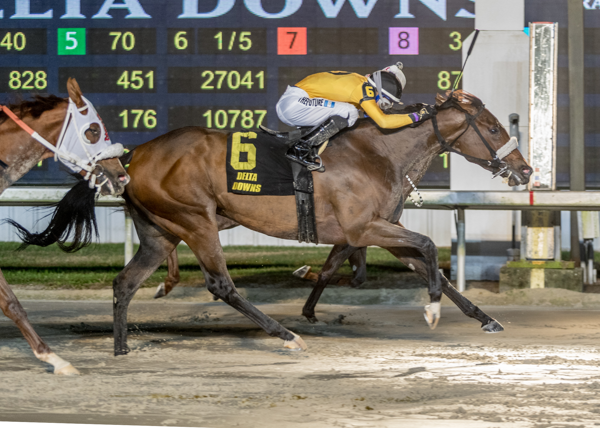 Want to understand Delta Downs live racing results better? This beginners guide explains everything clearly!