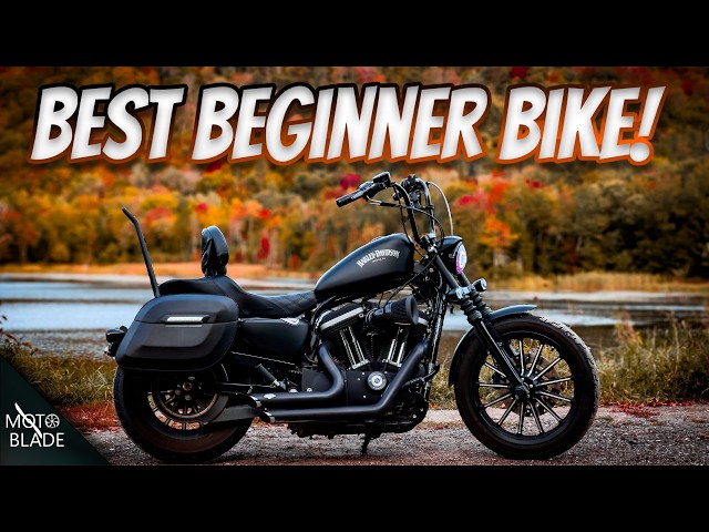 Is the Harley 883 Custom good for new riders? What beginners should understand.