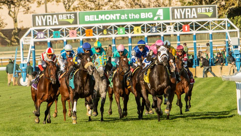 Looking for results belmont at the big a? Find out the winners and payouts quickly with our simple guide.