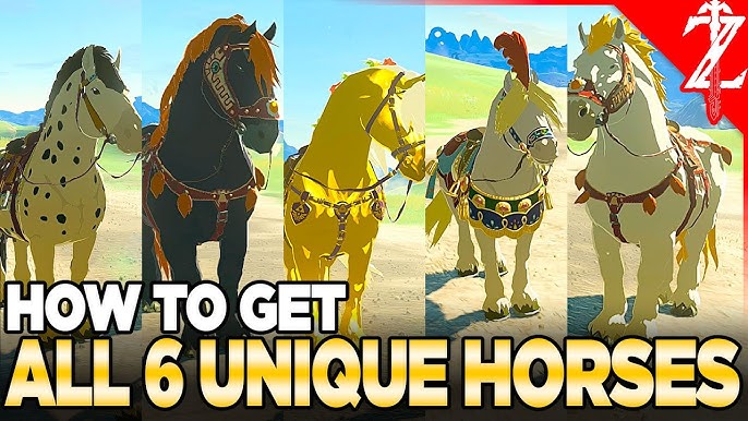 Discover the legend of the 4 white horses today