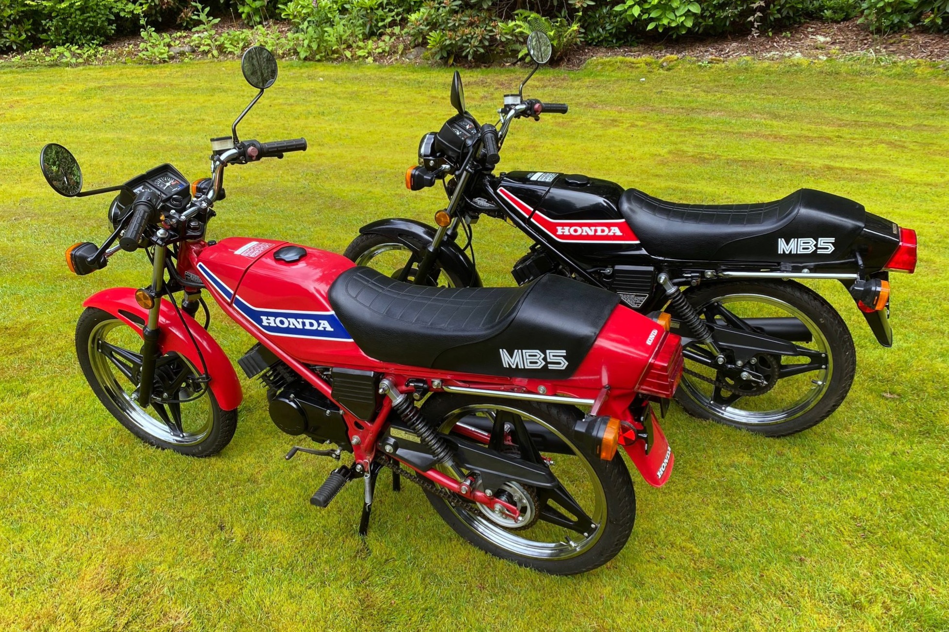 1982 Honda Bike: Find the Best Deals and Models Here