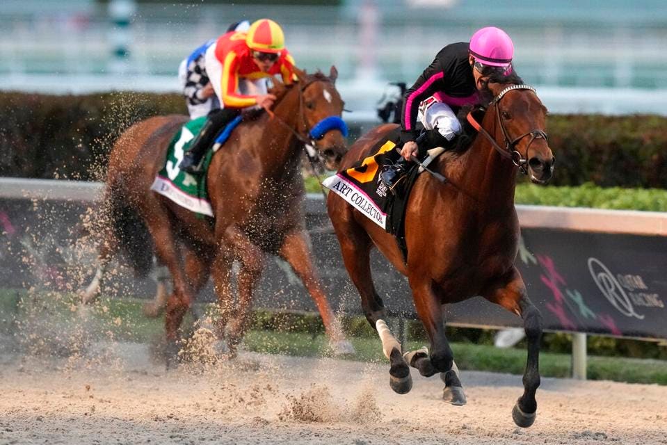 Looking for information about Pegasus Stakes 2024 tickets? Learn how to attend the big race day event this year.