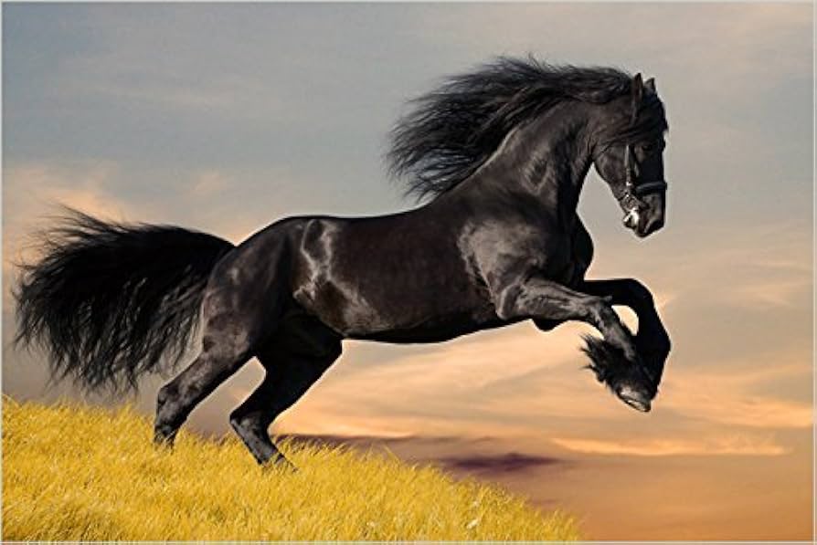 Need beautiful images of black stallions for your project? (Explore this awesome collection now)