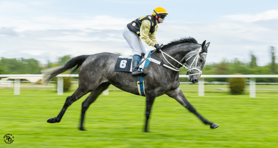 Is there a strict rule for the average height of a jockey? Get the actual facts straight today.