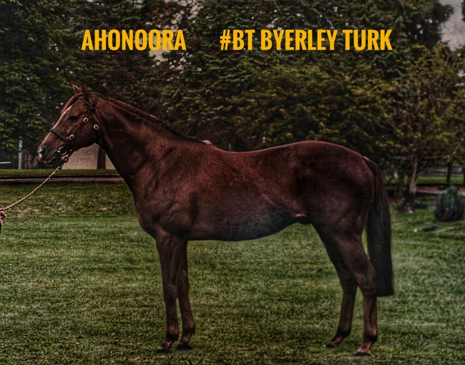 Understanding Black Caviars Impressive Horse Pedigree