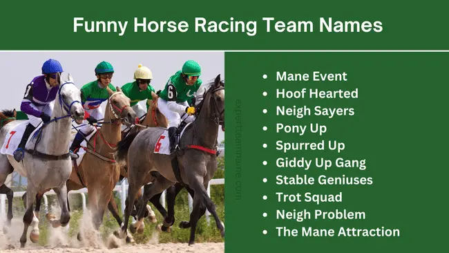 Want some funny or clever derby horse names? (Get inspired by these creative examples)