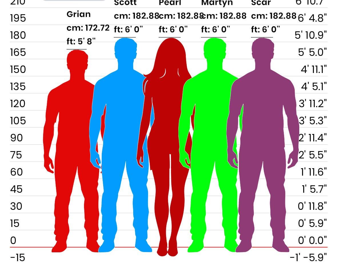 How does Todoni height actually compare? (See a simple comparison of Todoni height with other relevant figures easily)