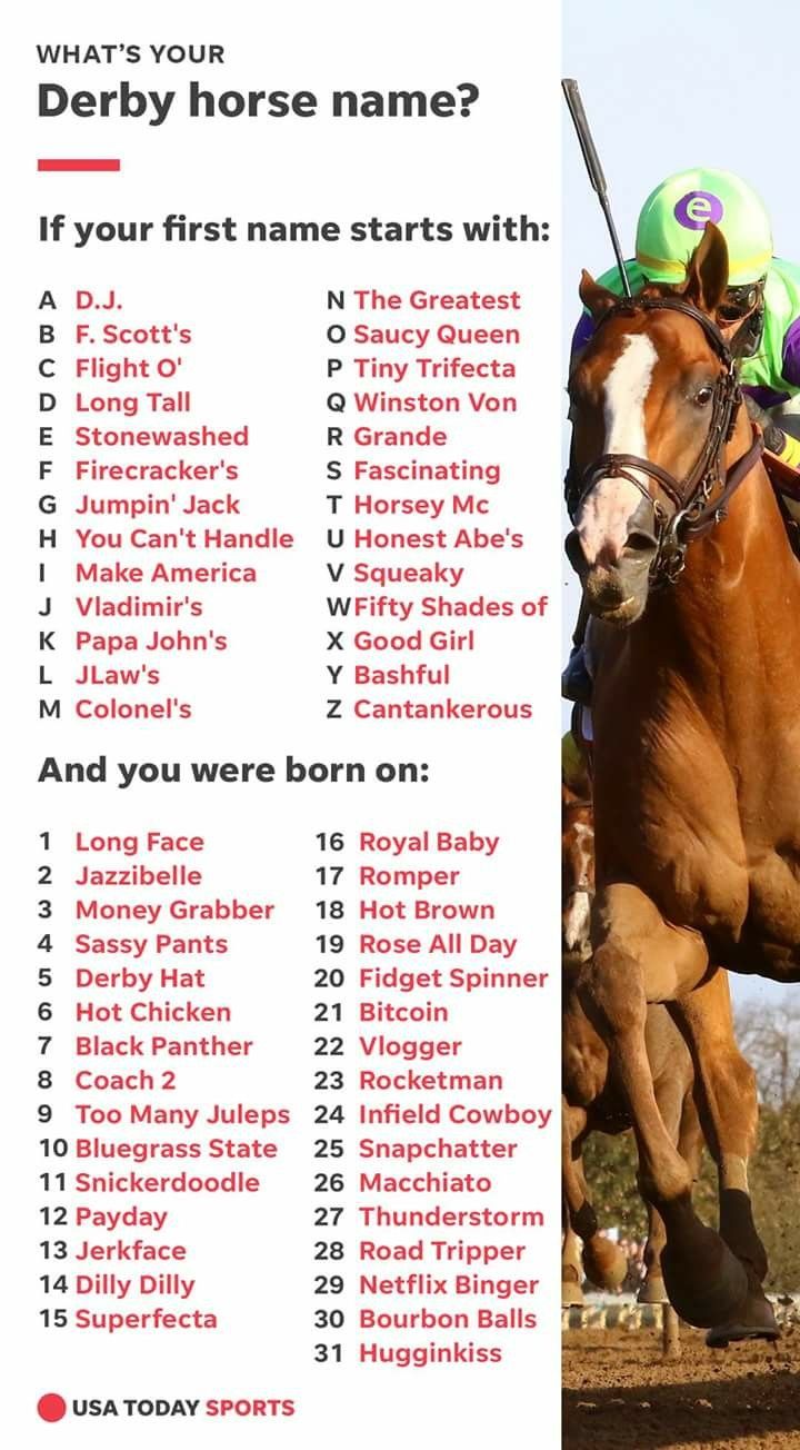 Want some funny or clever derby horse names? (Get inspired by these creative examples)