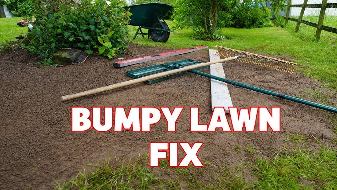 Best way to fix a hole in my lawn by myself easily?